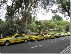 Taxis in Funchal